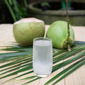 Bamboo Tree Coconut Water 33.8 fl oz - Cutimart