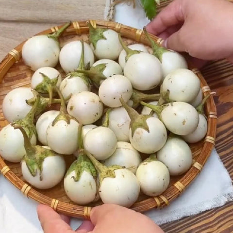 Chili Garlic Eggplant & Shrimp (Cà Pháo Mắm Tôm Chua Ngọt) 16oz