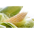 Corn Silk Tea (Trà Râu Bắp)-25 Bags - Cutimart