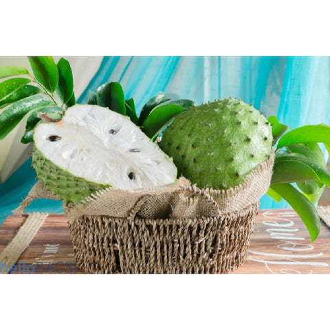 Minh Thong Dried Soursop Fruit Snacks with Tamarind (Mãng Cầu Me) 500Gr