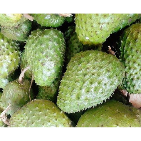 Soursop Candy (Mứt Mãng Cầu) 200g