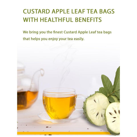 Soursop Leaf Tea Bags (Trà Mãng Cầu) - 20 bags - 40g